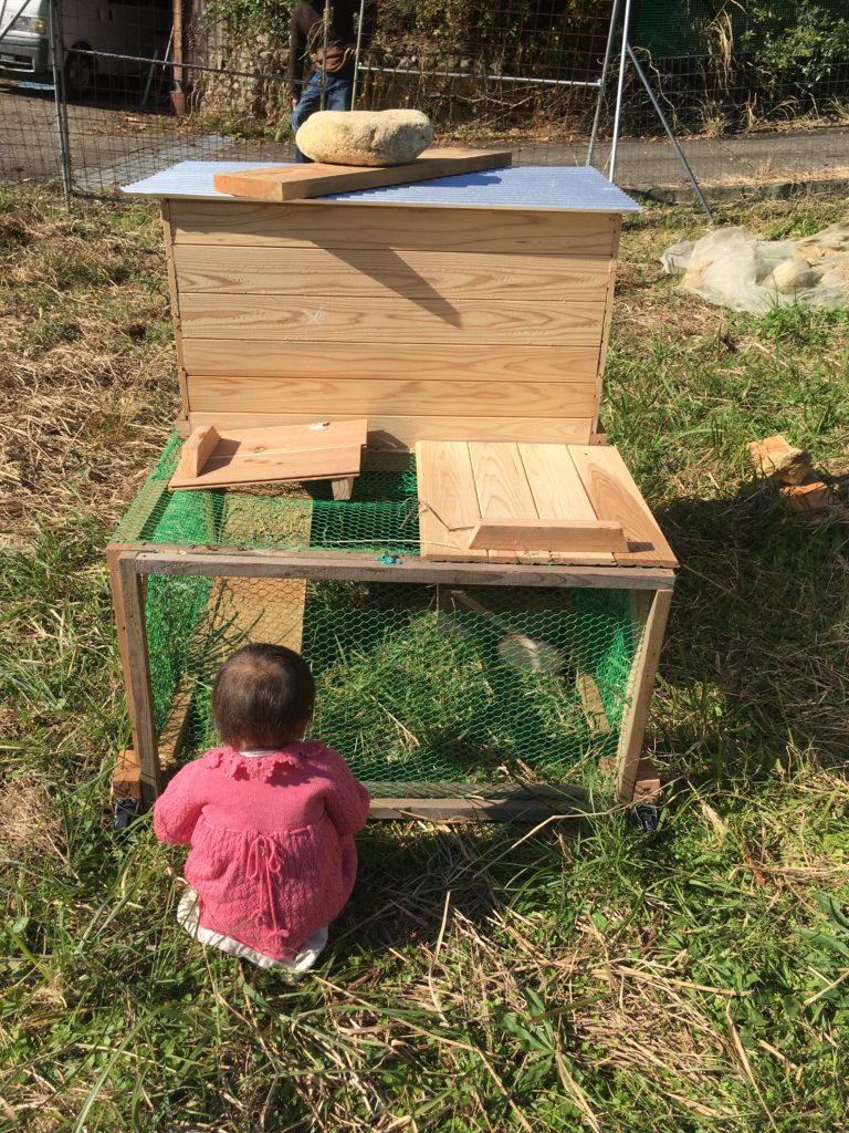 移動式 除草機能付きの簡単鶏小屋 チキントラクターを自作したよ Diy女子ブログ