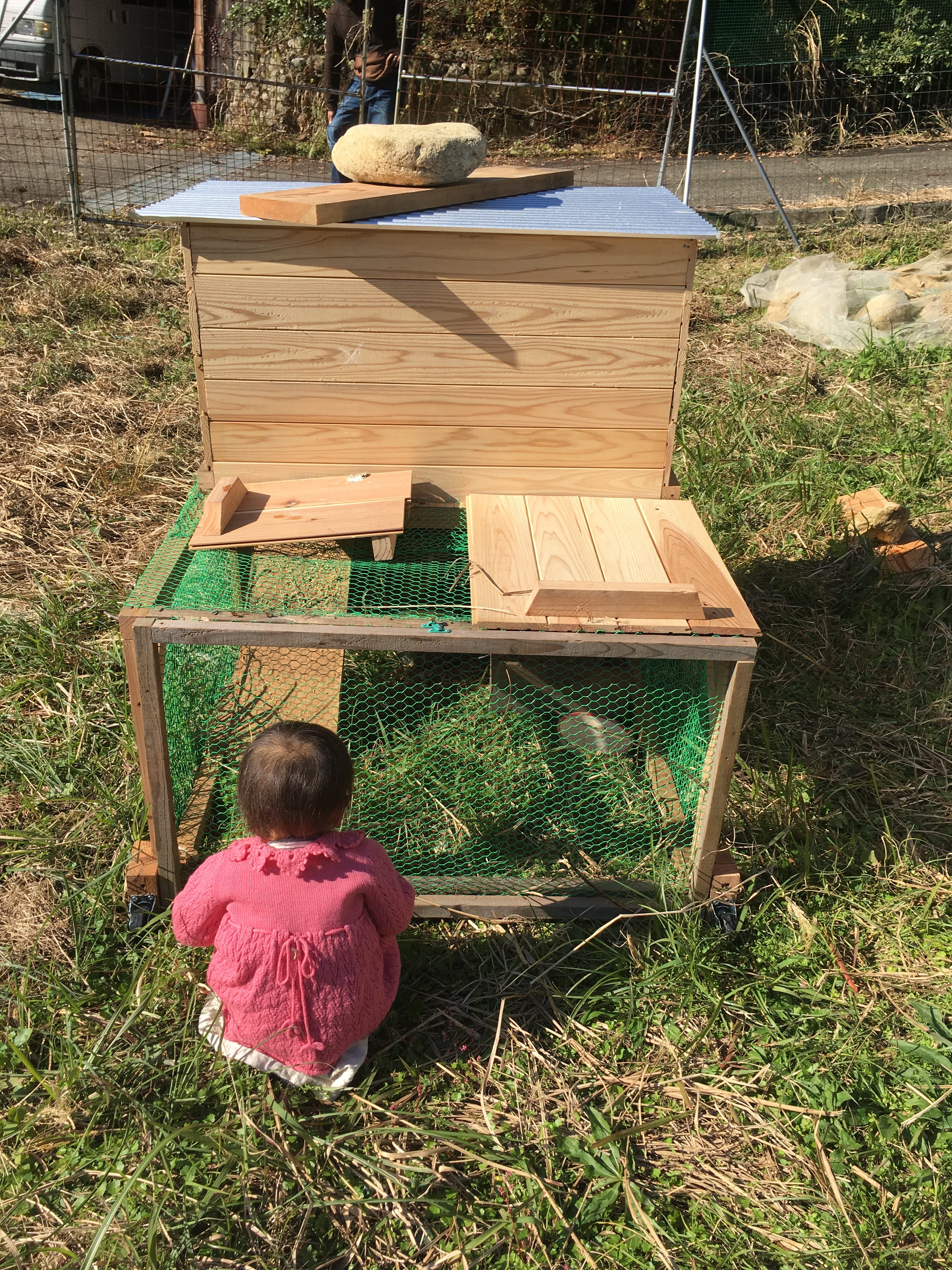 移動式、除草機能付きの簡単鶏小屋！チキントラクターを自作したよ